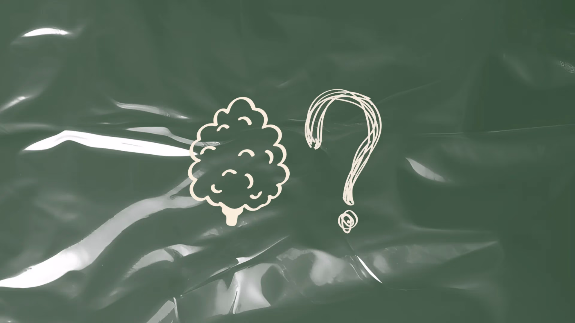 New Jersey Cannabis Delivery FAQs
