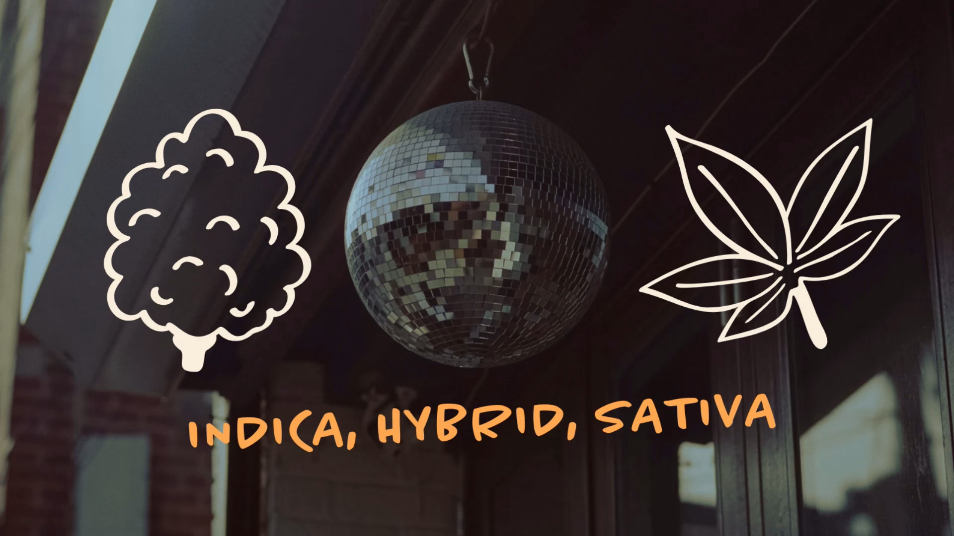 What’s the Difference Between Indica, Sativa and Hybrid?