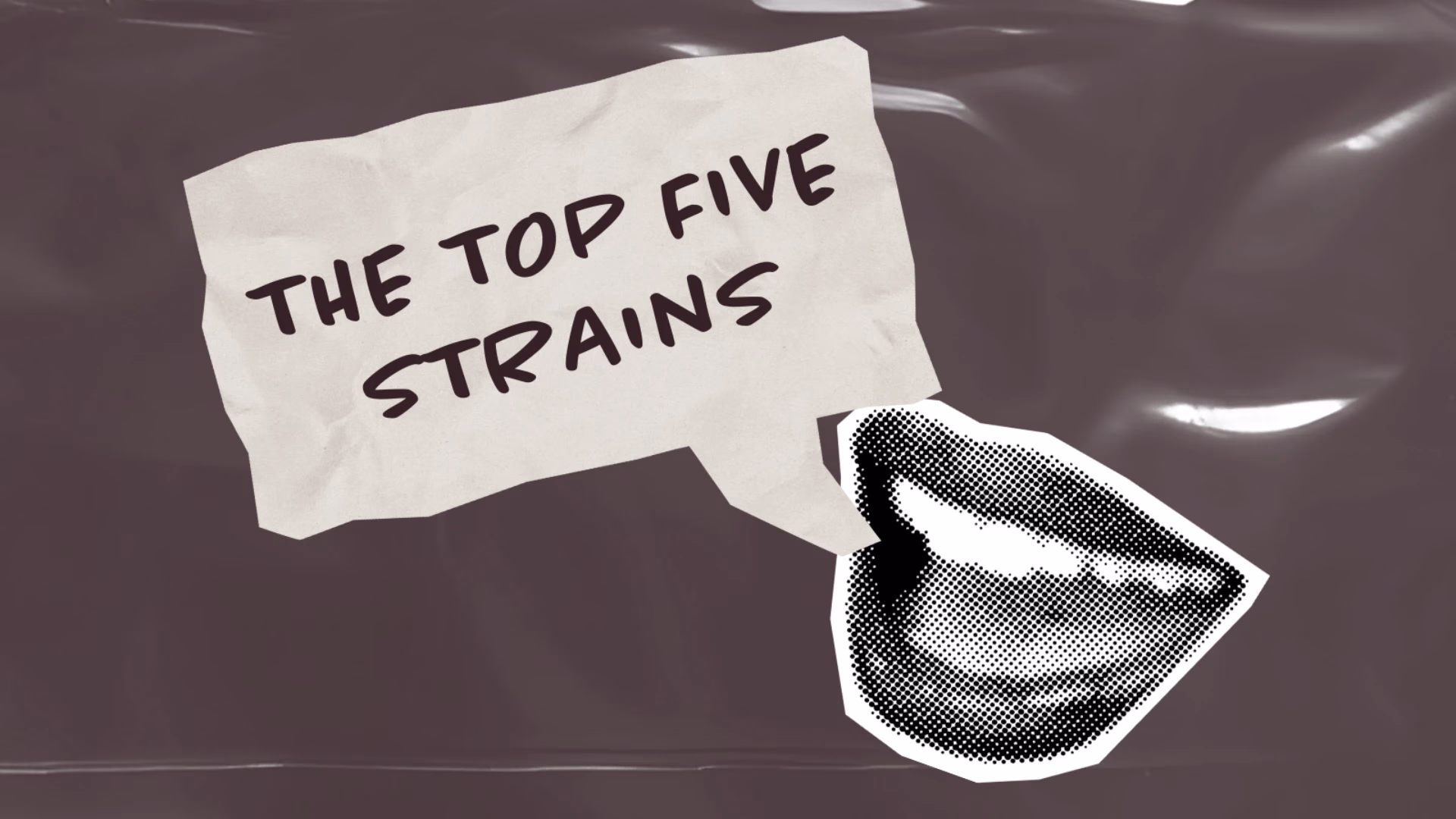 Top 5 Cannabis Strains in NJ Right Now (2025 List)