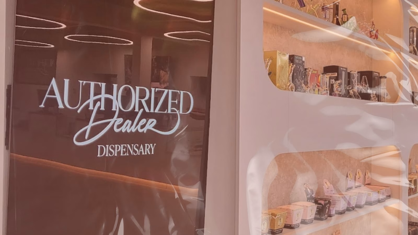 Authorized Dealer vs. Big Box Retailers: What South Jersey Shoppers Should Know