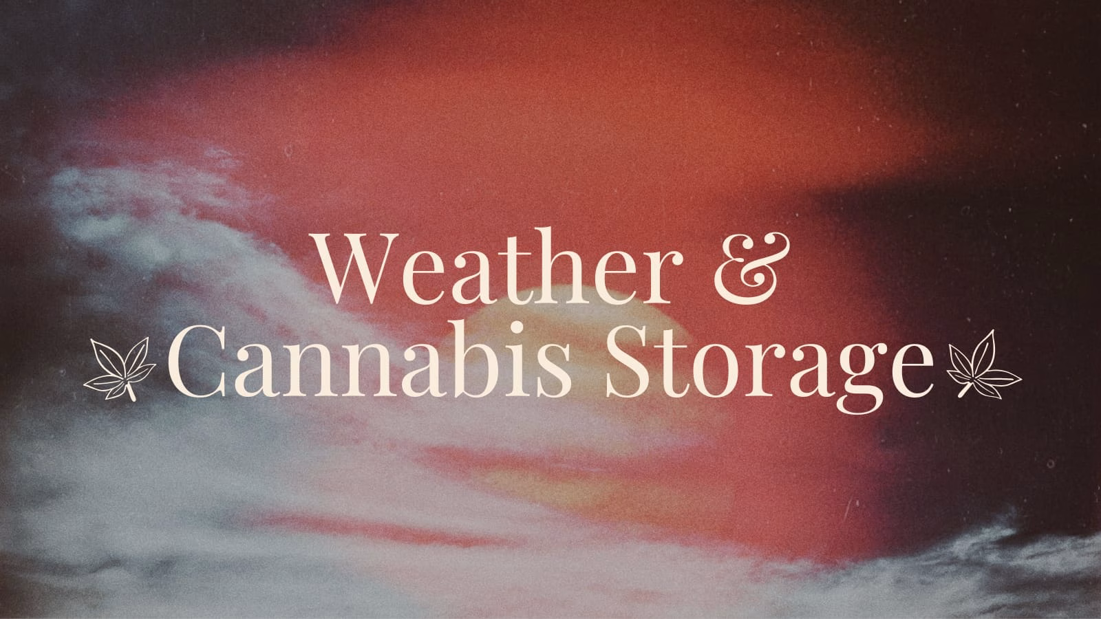 How New Jersey’s Weather Impacts Cannabis Storage