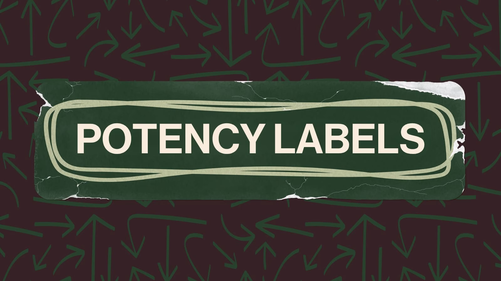 Understanding Cannabis Potency Labels (Total THC vs. THCA vs. CBD)